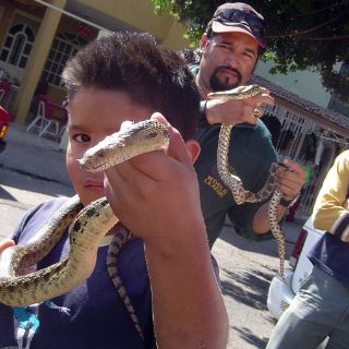 En la mira, 45 locales de “El Baratillo”