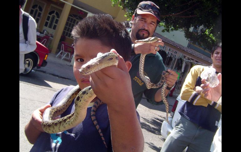 Guadalajara procederá contra 45 locales, por la venta irregular de animales. S. NÚÑEZ  /