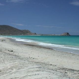 Una reserva marina de México bate récords de recuperación de fauna