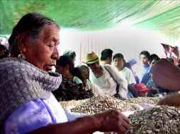 El objetivo es rescatar el valor de los pueblos indígenas y algunas de las tradiciones que se pierden con el paso del tiempo. EFE  /