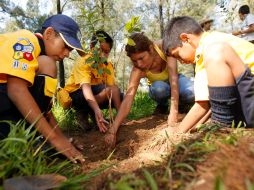 Grupos de Boy Scouts colaboraron ayer en la plantación de árboles en el Bosque Los Colomos. A. HINOJOSA.  /