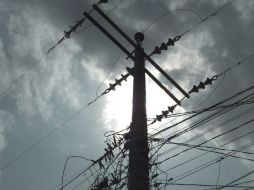 El programa se lleva a cabo gracias a convenio firmado el pasado mes de marzo entre el ayuntamiento de Tlaquepaque y la CFE. ARCHIVO  /