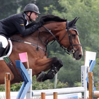 Alberto Michán está intratable