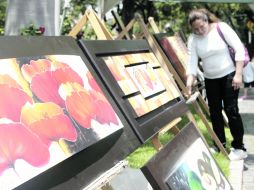 Cada domingo, artistas buscan vender su obra en el concurrido espacio de la Avenida Guadalupe. A. HINOJOSA  /