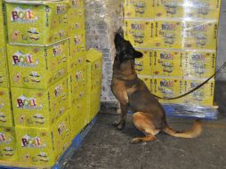 El estupefaciente fue encotrado dentro de cajas de cartón que simulaban contener dulces líquidos. ESPECIAL  /