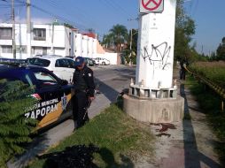 El cuerpo se encontraba junto a la base de una torre de energía eléctrica de alta tensión. O. RUVALCABA  /