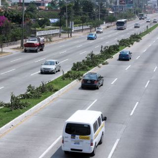 Inicia Ecología de Tlajomulco investigación sobre tala clandestina