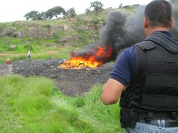 El acto de destrucción se llevó a cabo en las instalaciones del Club Cinegético de la Venta del Astillero. M. PATIÑO  /