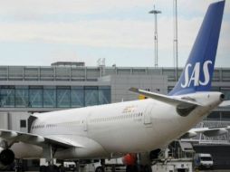 La presencia del animal a bordo puede ser peligrosa si el animal se cuela hasta los cables. AFP  /