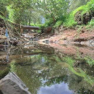 El Azul, arroyo de agua limpia en la metrópoli