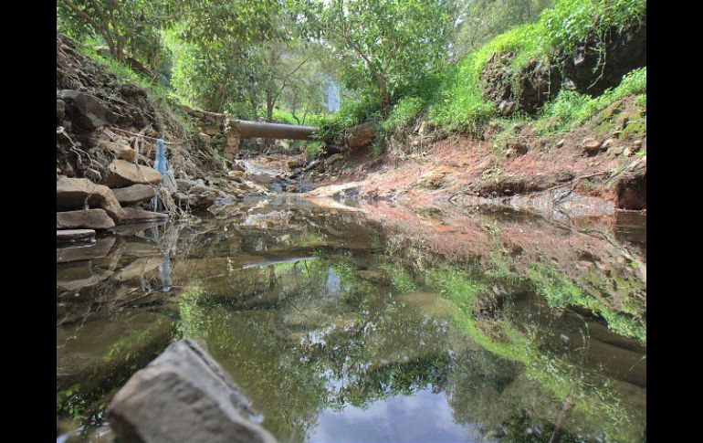Pese a la urbanización, las aguas del Río Azul, en Loma Dorada, todavía lucen cristalinas y libres de contaminación. S. NÚÑEZ  /