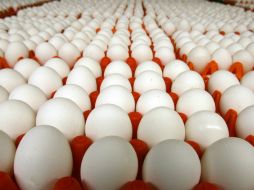 Durante años, el huevo fue considerado un alimento dañino. ID  /