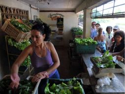 La presencia de las mujeres en el sector económico de Cuba va en aumento como parte de las reformas aprobadas por Raúl Castro. EFE  /