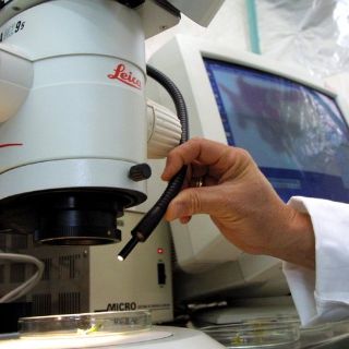 Avanza conformación del biocluster médico de Jalisco