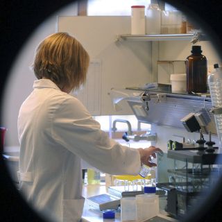 Advierten sobre los riesgos de la clonación humana reproductiva