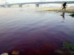 Se muestra la orilla del río Amarillo cuyo color se ha vuelto rojizo. EFE  /