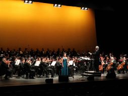 Destacadas personalidades del género apoyarán el proyecto. ARCHIVO  /