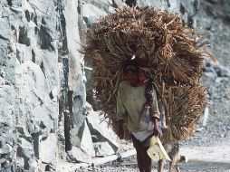 Jóvenes de la región rarámuri que solicitaban poder estudiar esta modalidad ahora pdrán hacerlo. ARCHIVO  /