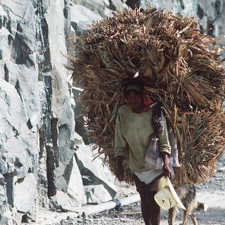 Nueva licenciatura en Antropología en la Sierra Tarahumara