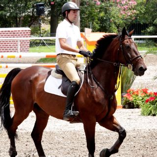 Prueba de velocidad en el Selectivo Panamericano de Salto