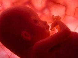 En un futuro cercano la tecnología permitirá seleccionar las características genéticas de nuestra descendencia. EFE  /