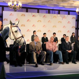 Guadalajara, capital ecuestre del mundo en 2014