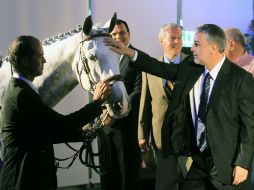 Emilio González acaricia a “Swing”, que desde ahora se prepara para la Final de la Copa Mundial en 2014. A. CAMACHO  /