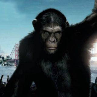 Tenemos ganadores para 'El planeta de los simios (R) Evolución'