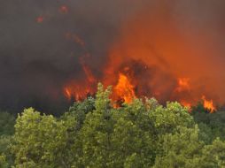 Se hacen esfuerzos para evitar que el incendio cause más daños. EFE  /