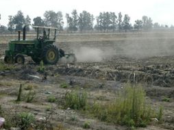 Realizarán una producción agropecuaria que utilice 'métodos amigables con el ambiente'. ARCHIVO  /