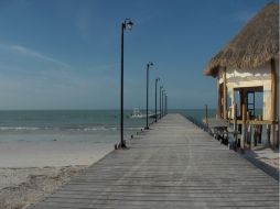 Holbox promete para sus visitantes mucha paz y paisajes (terrestres y acuáticos) extraordinarios. ESPECIAL  /