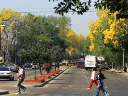 Los pares viales de Niños Héroes-La Paz y Federalismo-Enrique Díaz de León, hasta después de los Panamericanos. A. GARCÍA  /