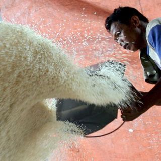 El arroz, sin gracia, pero gracioso