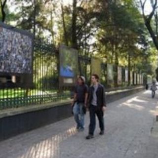 Desaparecen fotos de muestra capitalina