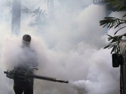 Se reforzarán las tareas de prevención del virus del dengue. ARCHIVO.  /