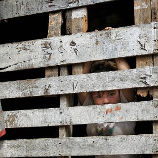 Impacta en Jalisco nivel aumento en alimentos y desempleo