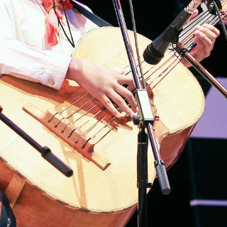Dan medalla Cirilo Marmolejo al Mariachi Tradicional Los Marineros