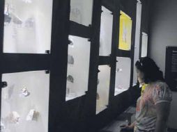 El ciclo de cine sirve de preámbulo para la exposición “Saurios terribles”. ESPECIAL  /