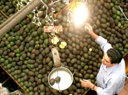 El aguacate se cotizó hasta en 80 pesos el kilogramo en diferentes puntos de venta. ARCHIVO  /