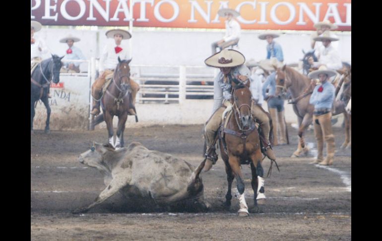 En colas, Tres Regalos logró tumbos con redondas de buen lado, aunque no fueron su fuerte. E.FLORES  /
