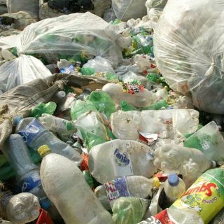 Universitarios festejan aniversario de programa de reciclaje