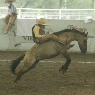 “Jalisciense”, a la cabeza del XII Campeonato Nacional Charro