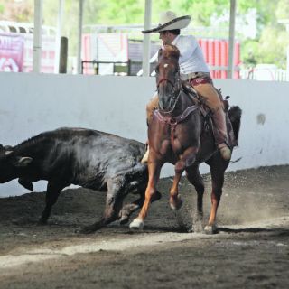 Hacienda Vieja se mantiene, Don Roberto le secunda