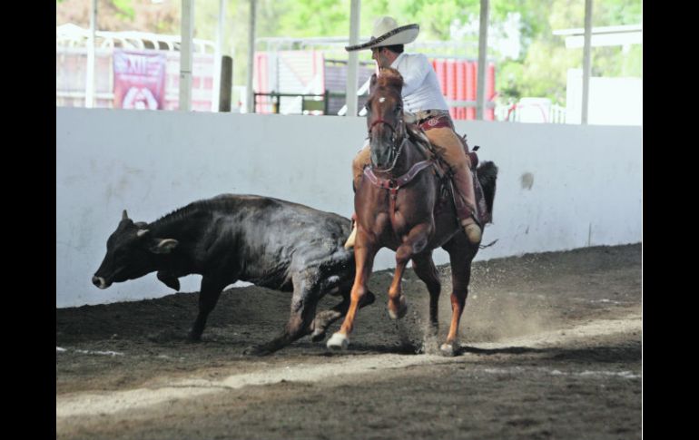 El equipo de Don Roberto destacó en el “coleadero”. E.FLORES  /