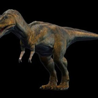 Descubren que hubo 12 tipos de dinosaurios en la sierra Perú