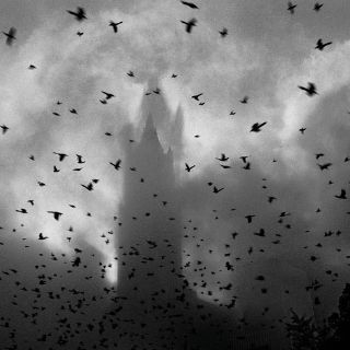 Un mexicano en el horror