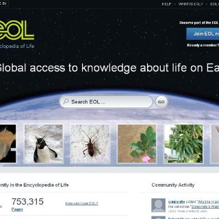 La Enciclopedia de la Vida mejorada, ampliada y abierta al mundo en Internet