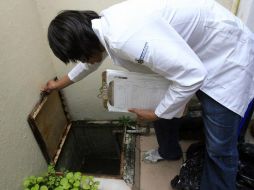 En Jalisco de los casos de dengue registrados, 103 son del tipo clásico y ocho del tipo hemorrágico. ARCHIVO  /