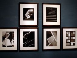 La muestra estará abierta al público hasta enero del 2012. NTX  /