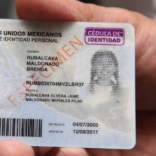 Corte desecha juicio contra Cédula de Identidad